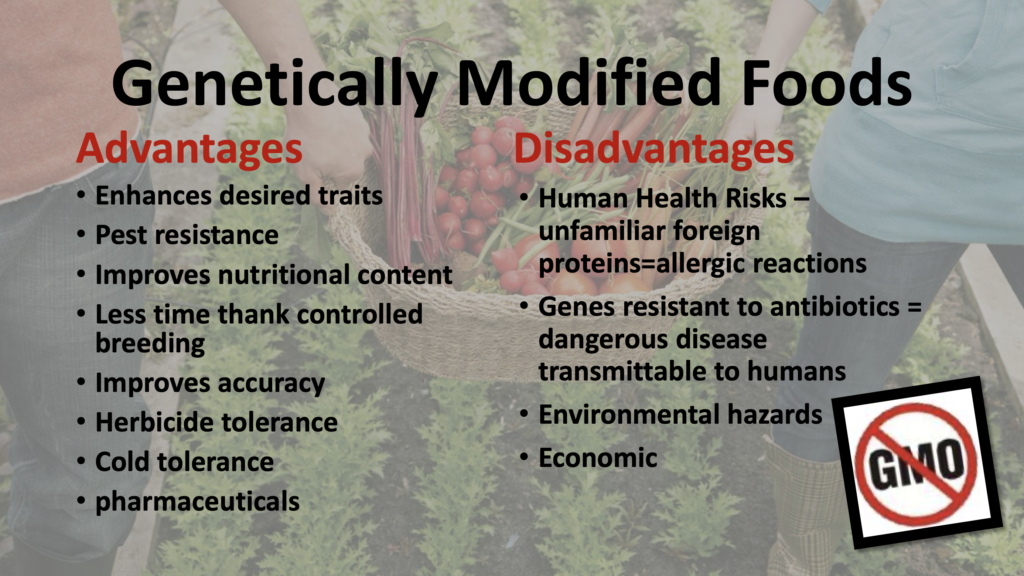 geography of food production